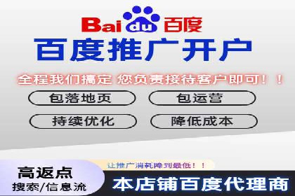 实战经验：竞价推广案例解析与优化策略分享